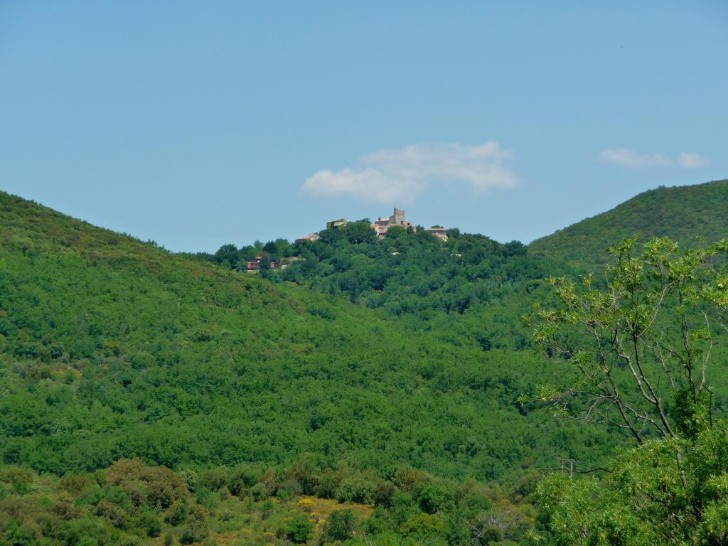 Lodève Chateau Olmet מראה חיצוני תמונה